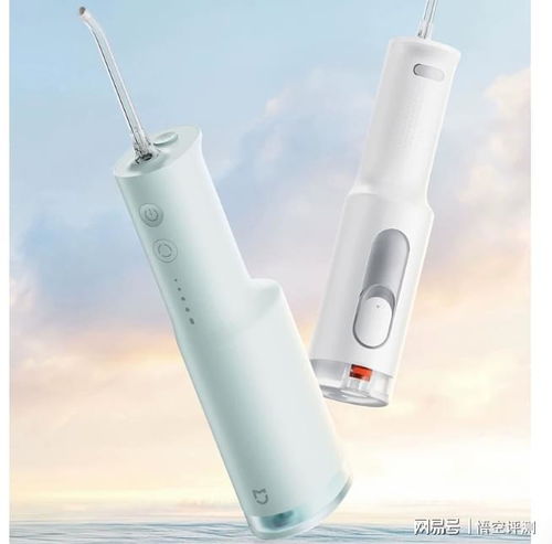 2026年冲牙器测评 好用又实惠的十大推荐型号，达人实测对比